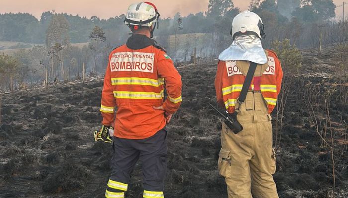  Incêndios florestais no Paraná caem 57% entre a primeira quinzena de setembro e outubro